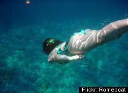 climate change, snorkeling