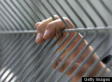 Secret Immigration Detention Centers Exist In Colorado: Report