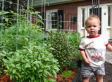 Bring On The Front Yard Farmers