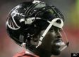 Michael Vick: Black Sheep or Scapegoat on Animal Rights?