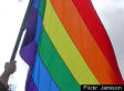 Demographic Science and Gay Civil Rights