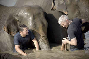 2007-10-10-Elephants.jpg