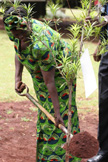 2008-06-01-WangariPlanting.jpg