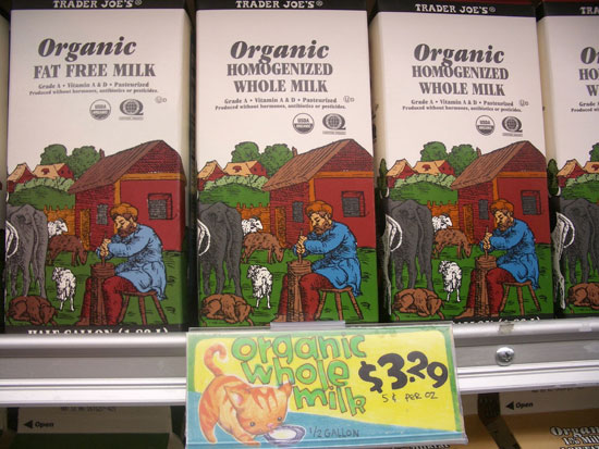 organic milk photo