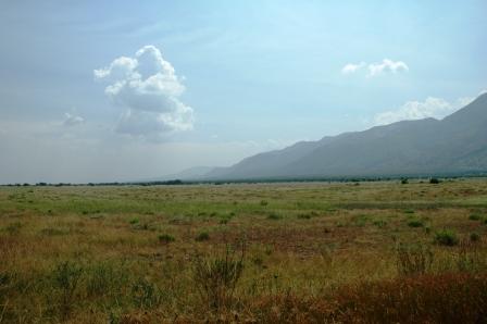 2008-07-14-No wildlife in Virunga Grassland-DSC_0707_virunga_grasslands.JPG