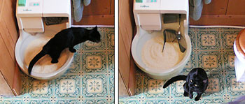 cat genie litter box