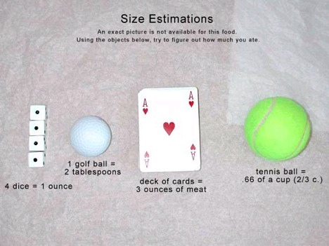 portion size with dice image