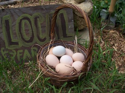 2008-09-17-8eggs.jpg