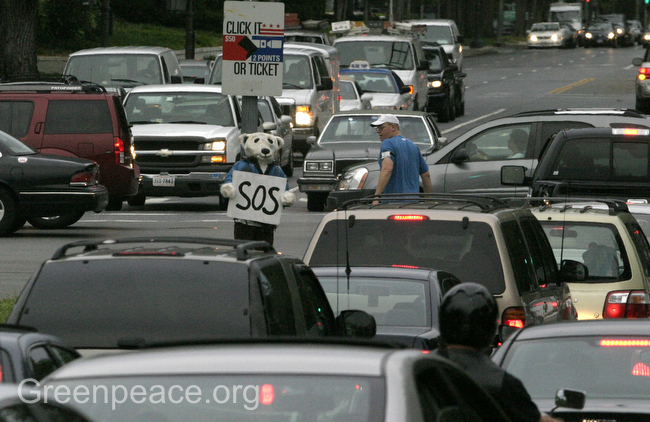 2008-09-17-greenpeacestreetbear.JPG