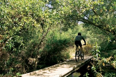 2008-09-19-biking_in_canyon_preserve.jpg