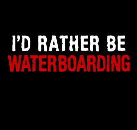 2008-10-12-waterboarding.gif