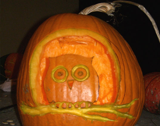 2008-10-26-owl.jpg