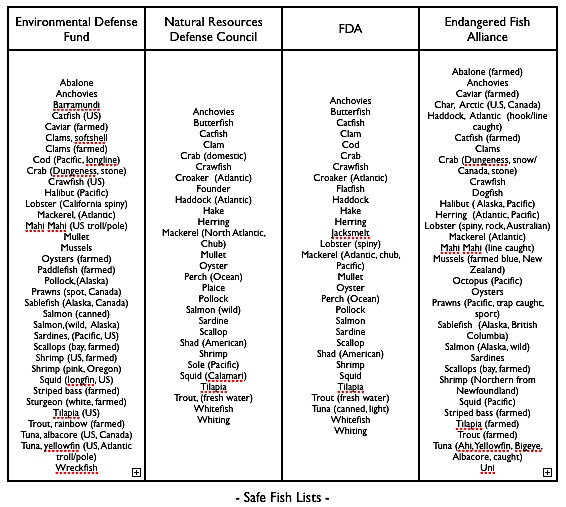 Good Fish, Bad Fish, It's Hard to Know | HuffPost Impact