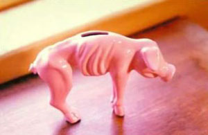 starving piggy bank photo