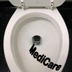 2009-05-15-bToiletMediCare250.jpg