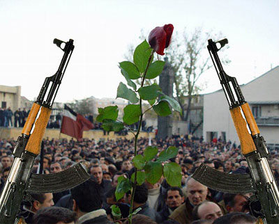 2009-06-16-roserevolution.jpg