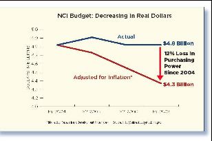 2009-07-17-NCIBudget1.JPEG