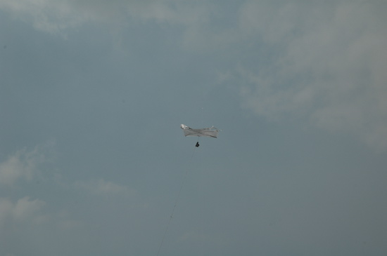 2009-08-04-kite.jpg