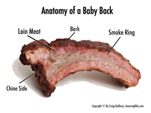 2009-08-31-anatomy4.jpg