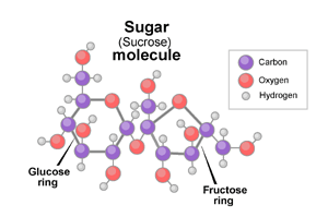 2009-09-21-sugarmolecule1.gif