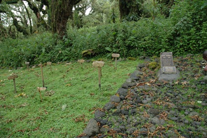 2009-09-28-DSC_0128_grave.JPG