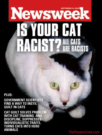 Image result for racist cat