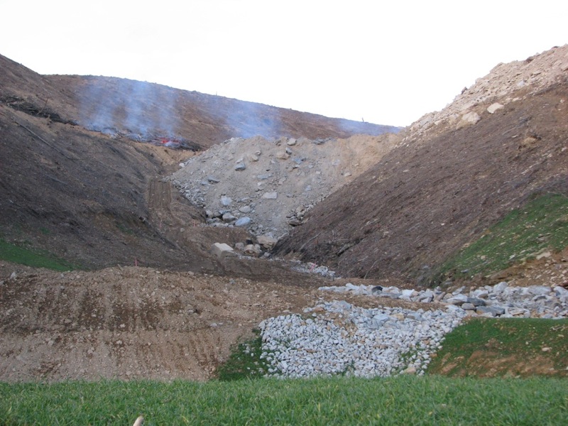 2009-12-02-burntrees.jpg