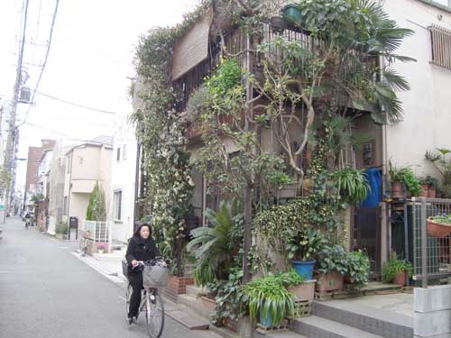 2010-01-12-shin_nakano_forest_hse_t500.jpg