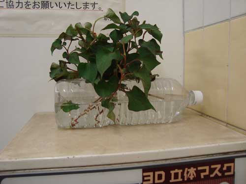 2010-01-12-tokyo_metro_plant_iriya.jpg