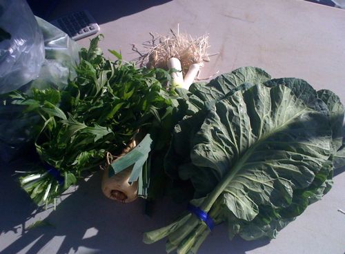 2010-02-23-PeoplesFoodHaul.jpg