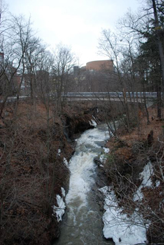 Cornell University to put safety nets on gorge bridges where 3 students  died 