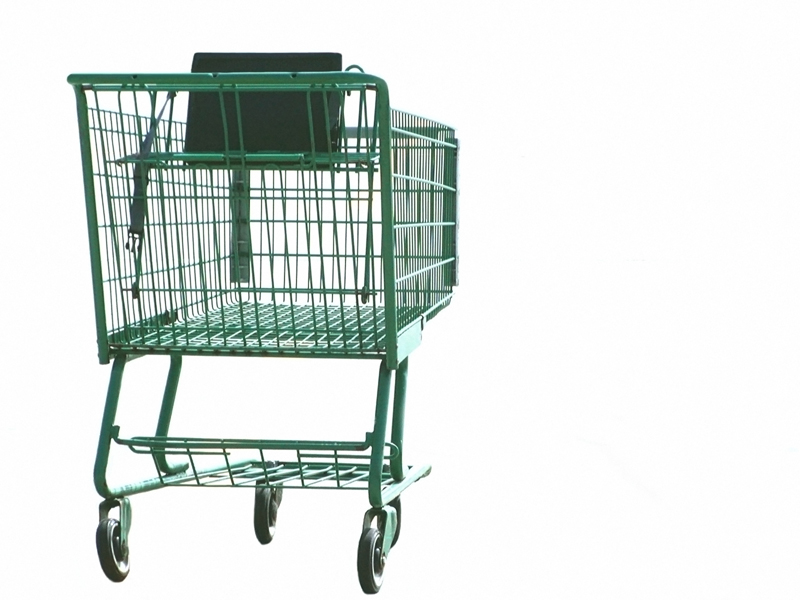 2010-03-15-grocery_cart.jpg