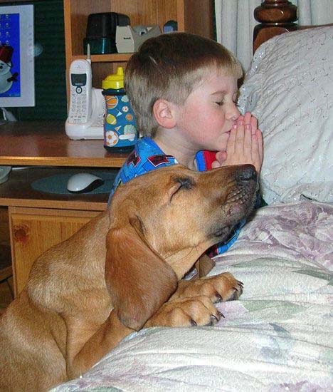 2010-03-22-puppyprayer.jpg