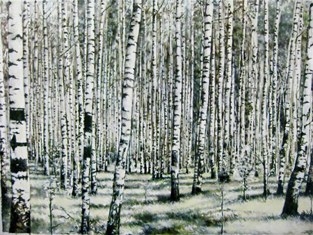 2010-04-16-Birches_sm.jpg