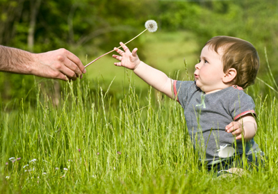 2010-04-19-baby_lawn.jpg