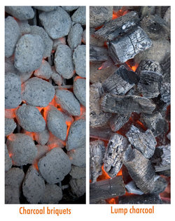 2010-04-23-charcoal_types.jpg