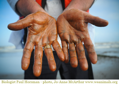 2010-05-19-oiled_hands.jpg