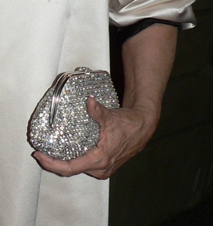 2010-05-20-silverbag.jpg