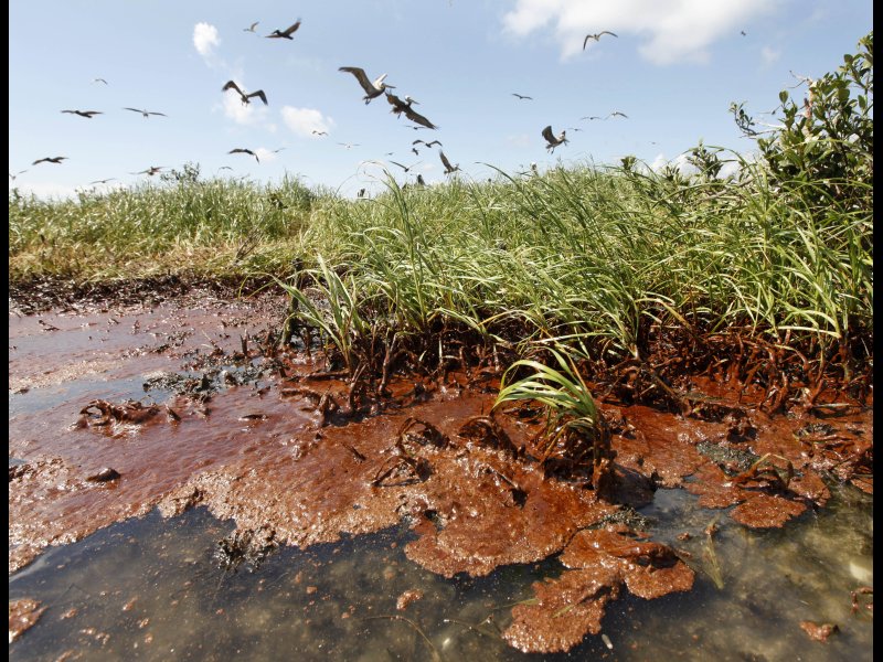 2010-05-26-oilspill_large.jpg