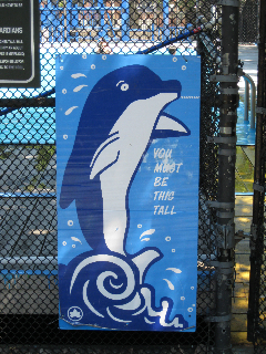 2010-07-02-dolphin.jpg