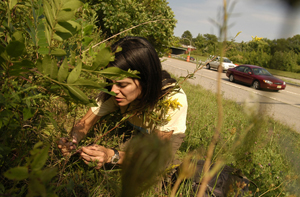 2010-07-23-MAStatenIsland.jpg