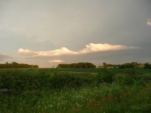 2010-07-28-farmland300x225.jpg