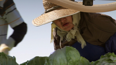 2010-08-04-lettuce.jpg