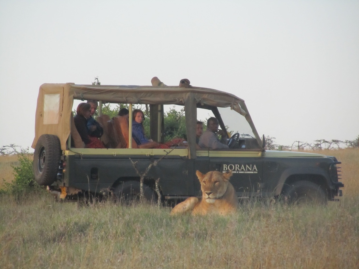 2010-08-07-lions.jpg