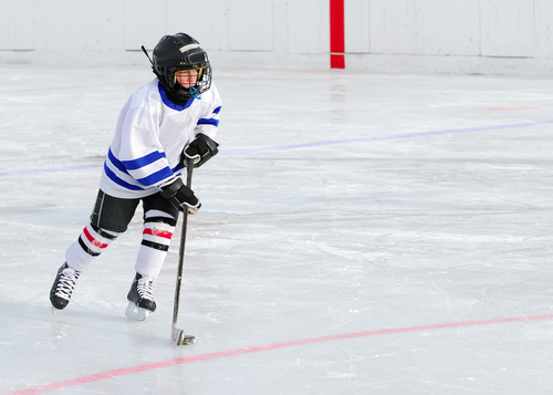 2010-08-19-YOUTHHOCKEYSMALL.jpg