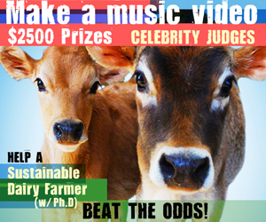 2010-08-19-happycowsvideocontest.jpg