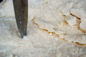 2010-08-19-parmigiano_flakes.jpg