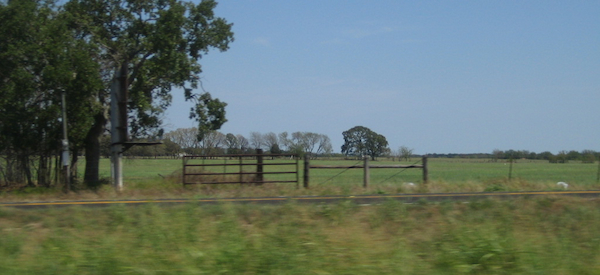 2010-09-08-driving2.jpg