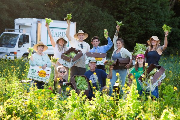 2010-09-11-Marin_Organic_Glean_Team_paigegreen_sm1.jpg