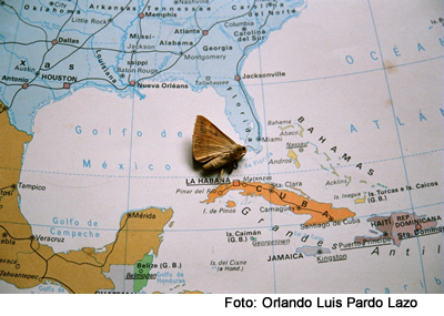 2010-09-13-mariposa.jpg